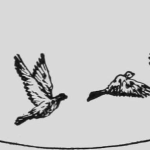 Animation Through The Ages