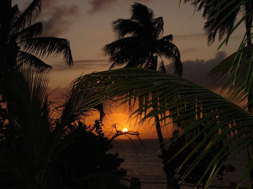 sunset, silhouette, beach, palm trees, foliage, sea, ocean, island, scenery, scenic, dusk, caribbean, beach, palm trees, palm trees, palm trees, palm trees, island, island, caribbean, caribbean, caribbean, nature, caribbean, caribbean