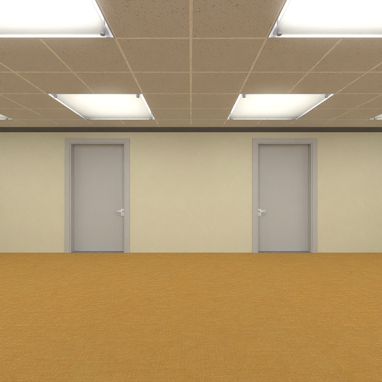 Two doors on a wall